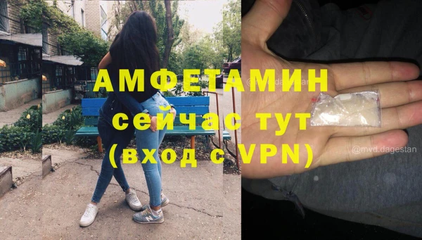 сатива Аркадак