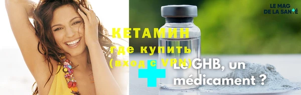 сатива Аркадак