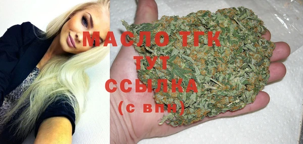 сатива Аркадак